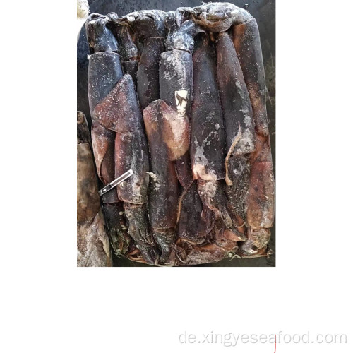 Gefrorener Riesen-DOSIDICUS Gigas-Squid 500-1000g